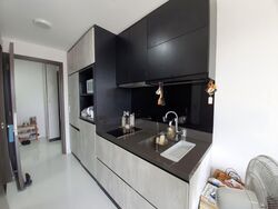 The Rise @ Oxley - Residences (D9), Apartment #606236791